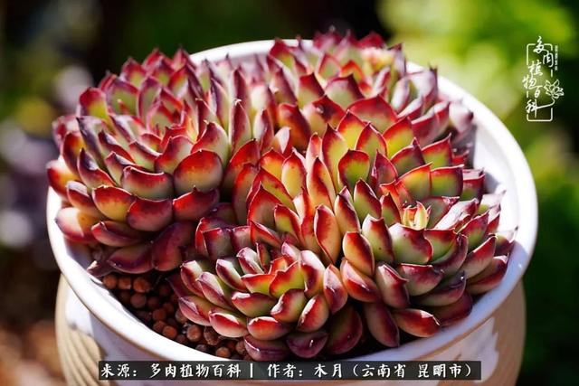 安康石英砂洗砂机厂家电话