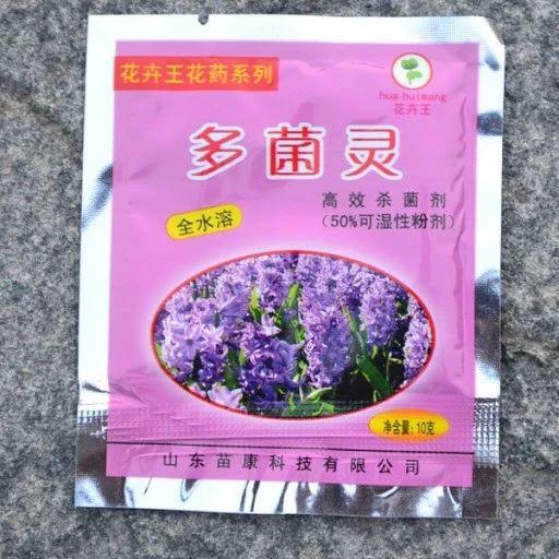 常见5种内吸性广谱杀菌剂，可以轻松去除植物感染的病害2