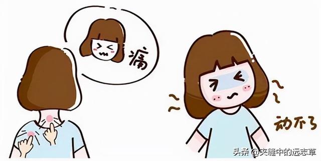 肩周炎，活动受限？送你四味中药，祛顽痰，通经络，快来了解下吧