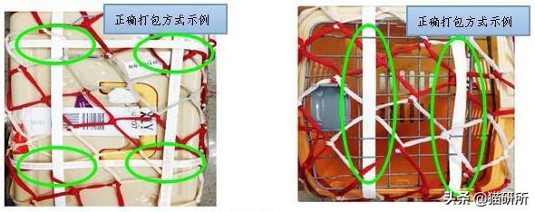 国内国际宠物托运公司