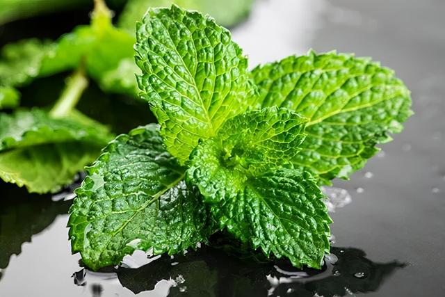 伤寒论学习太阳、阳明表里同病，麻黄汤的用法