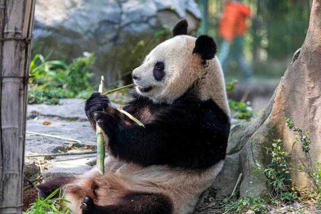 小普陀 小普陀（小普陀图片） 生活