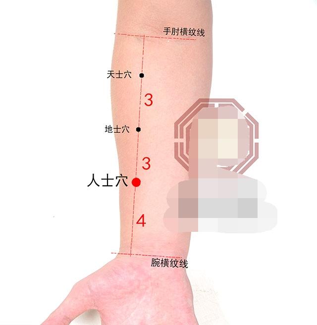 中医针灸感冒、上呼吸道感染疾病处方2