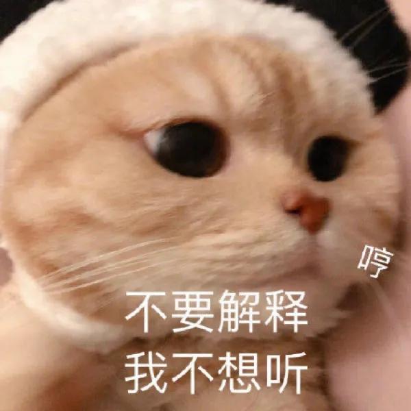 给老子清醒点表情包给老子清醒点的表情包