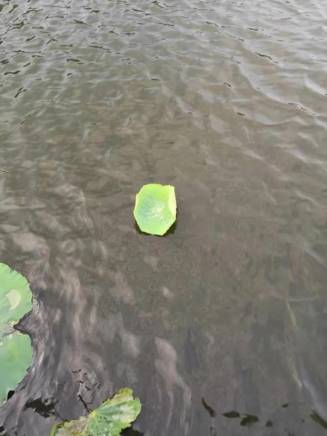 3年前的华为nova3，6+128G现在不足千元，难道不香吗？