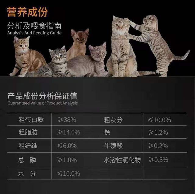 天然猫粮