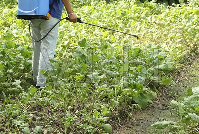 草铵膦与这药混配，对32种杂草一扫光，7天死草，60天不长草4