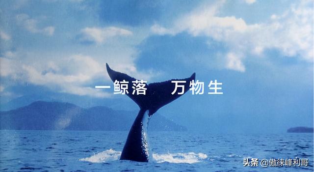 中国80、90后的养老危机？年轻人不再热衷结婚、生子是资本的反噬