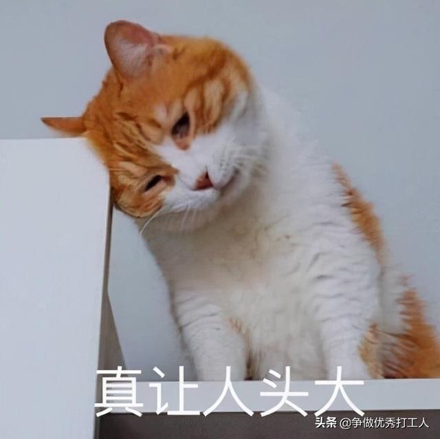 如何看待 10 月 28 日发布的 Redmi  Note  11 系列，有什么亮点和不足？