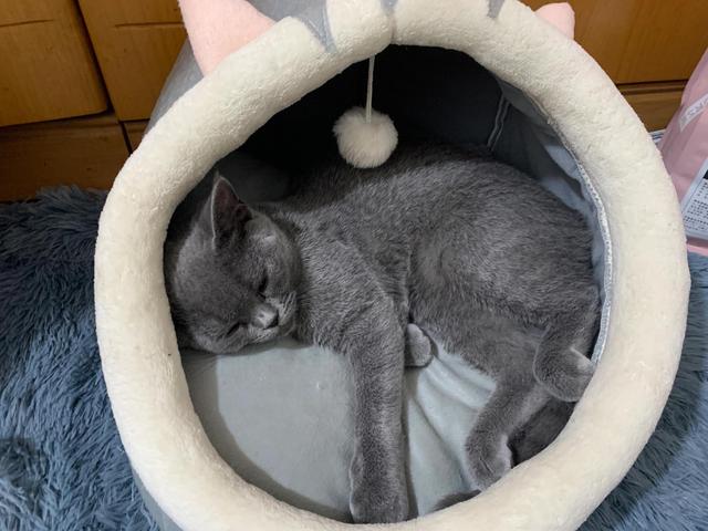 啥到底是个女权，有人帮忙解答一下吗？