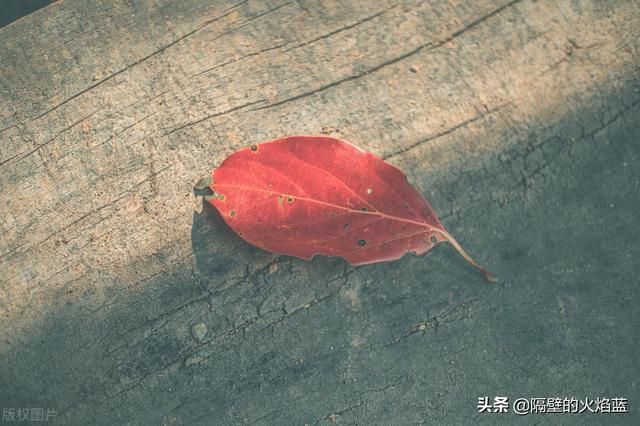 行动是治愈恐惧的良药 犹豫拖延将不断滋养恐惧