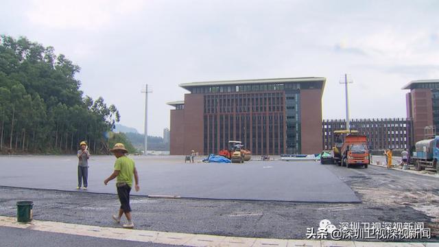 中山大学深圳校区建设迎来新节点！即将达成这一目标