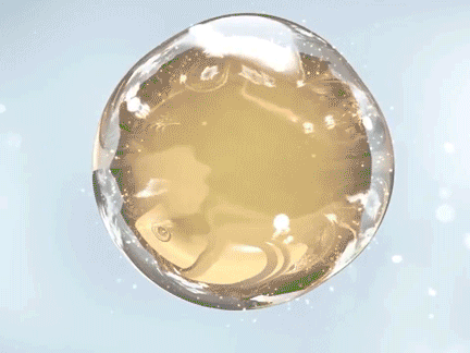 手背皮肤就长鸡皮一样