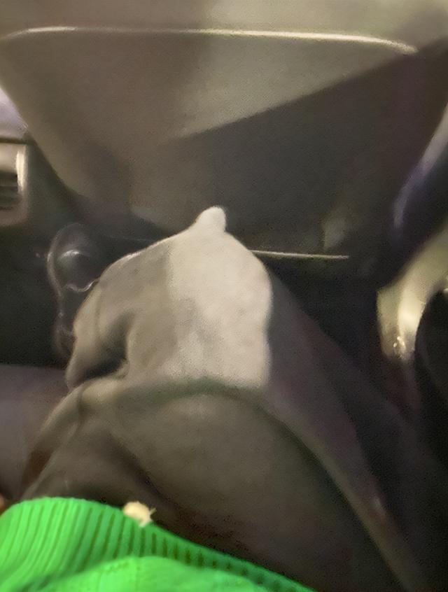 车上路上滴滴（车上,路上滴滴完）