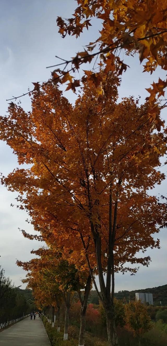 拯救宇宙不是随便一个人都有机会的