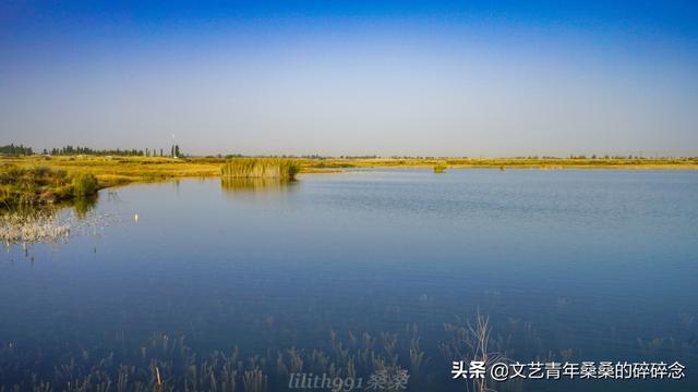 张掖过滤机