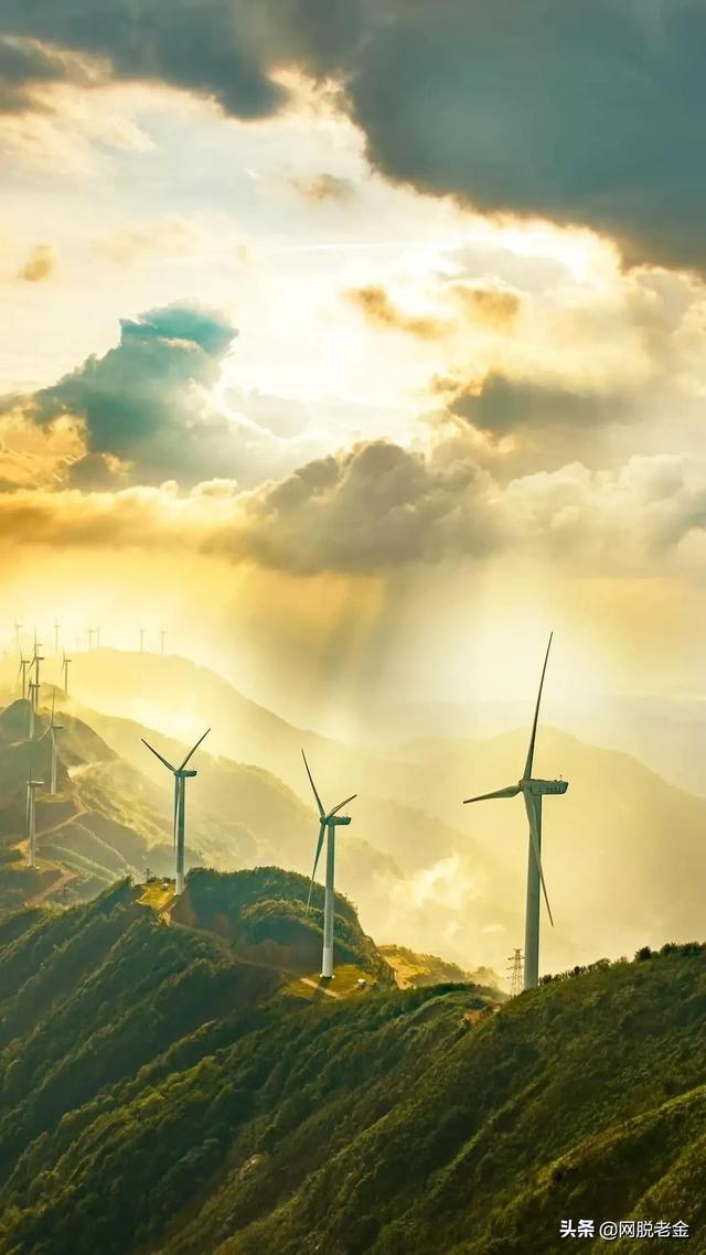 从鱼竿厂到碳纤维龙头的跃变，承兑了光威30年奋斗