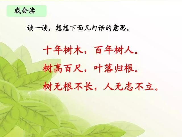 银杏水杉活化石是什么意思