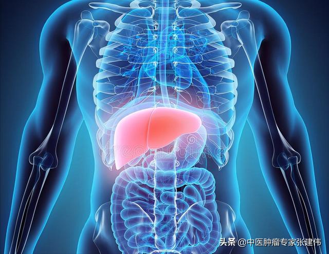 臟腑發生病變可以從聲音辨別，快看看你的臟腑是否健康