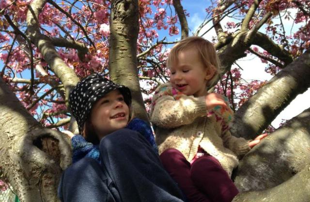 不上学，不吃药，不打疫苗，英国夫妇育儿方法震惊全国