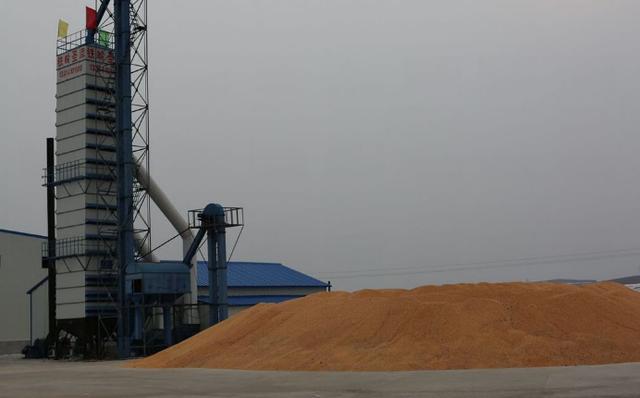 新麦大量上市，农民存储条件有限！记住这俩办法让小麦多放两年4