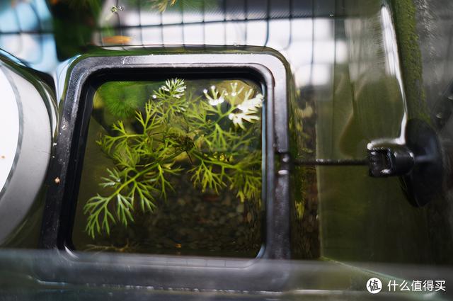 大蜗牛制砂机
