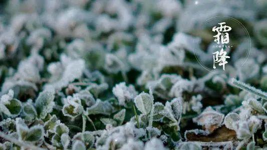 霜降过后如何养生？防秋燥、防寒、防秋郁