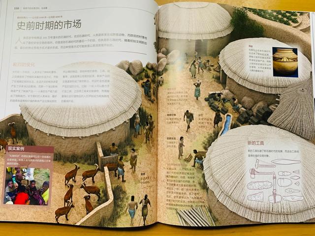 给7-14岁孩子的这本全景百科，让我惊艳