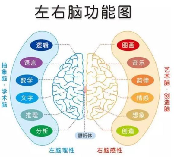 男孩子什么时候开窍？