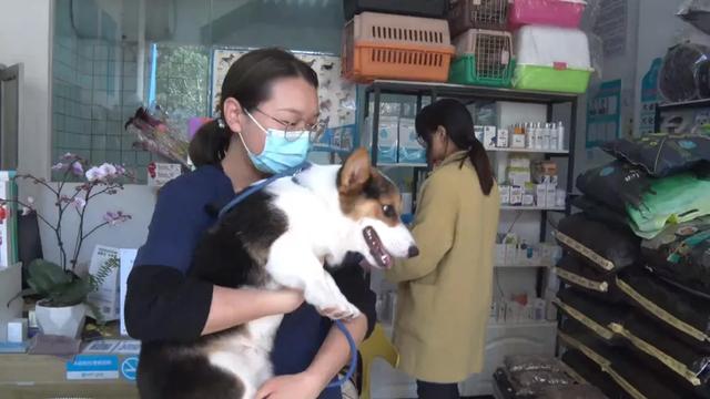 蒙自轮式洗砂机求购