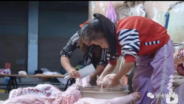 华为天才少年自制机械臂？能给葡萄缝针，这样的孩子是怎么培养的