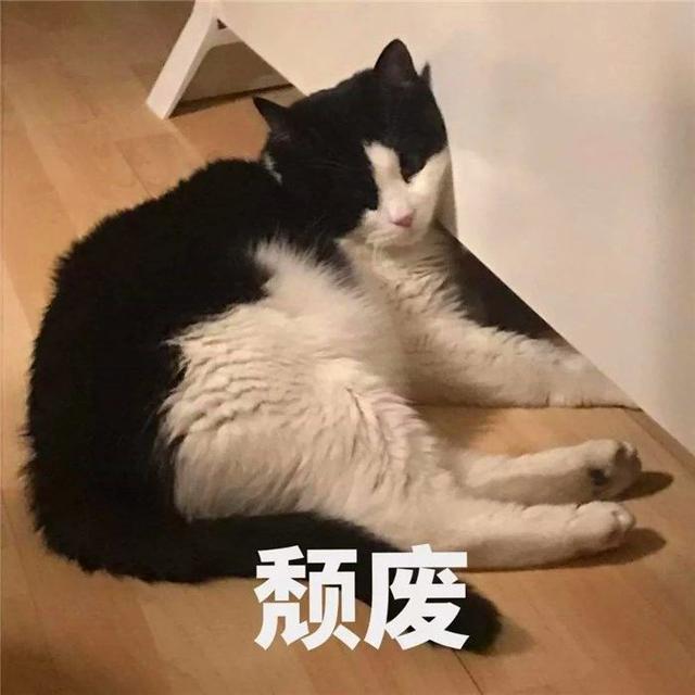 为什么猫会打呼噜