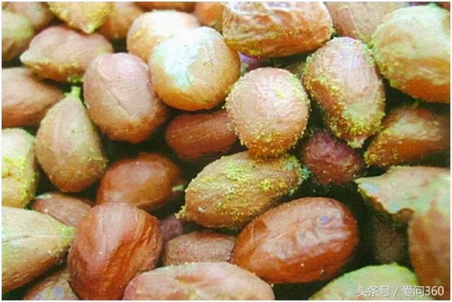 牛肉是2A级致癌物，吃了会致癌？医生一文解释清楚