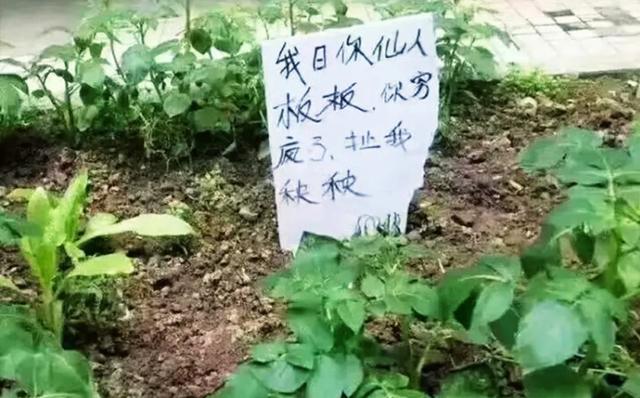 昭通洗砂机系列