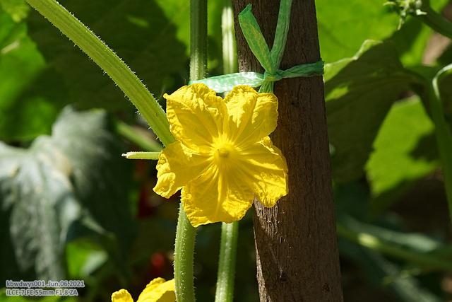一些有意思的话：每个孩子都独一无二（20210608）