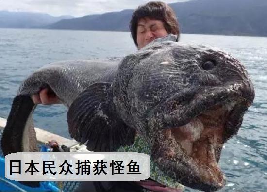 辐射致癌！日本福岛民众担心核辐射不敢吃鱼