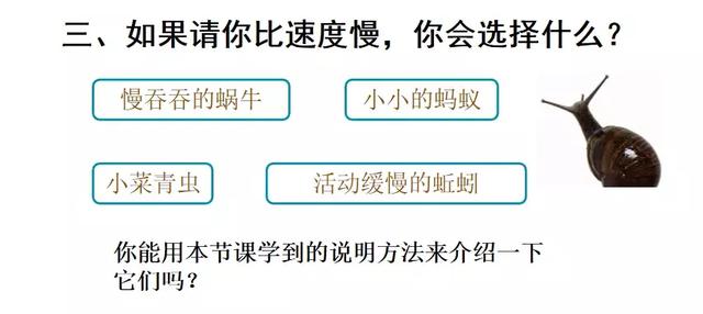 置之不理的置什么意思