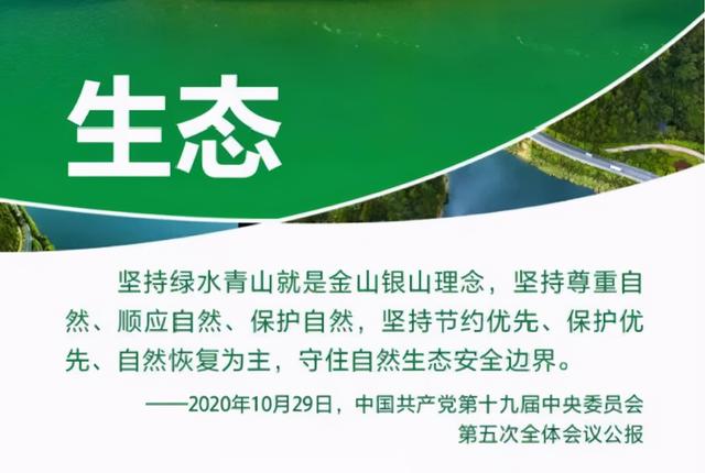 压滤机表