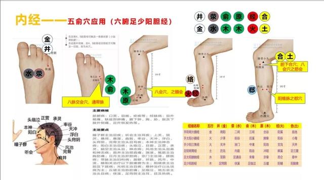 五输穴的位置及应用