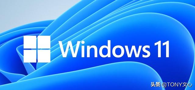 微软官方放出的Windows 11预览版镜像(附虚拟机安装教程)