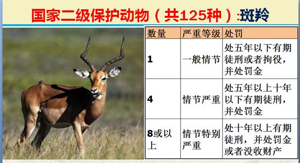 国家二级保护动物