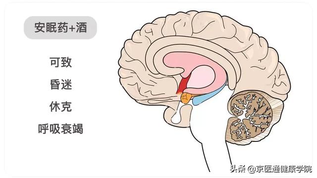 哪些药吃完不能喝酒，不止头孢，服用这12种药物也不能饮酒，当心致死……