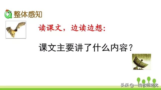 蝙组词