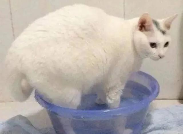 秋冬怕冷，手脚冰凉的人注意了！4个简单方法助你“暖”起来