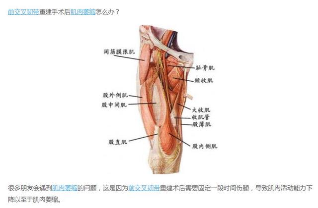 克萊最新訓練照 小腿肌肉維度已無異 Kks資訊網