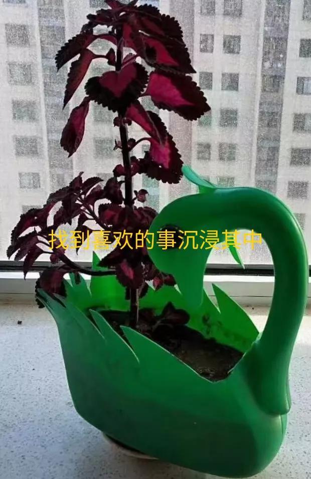 一书 一纸 一笔 一世界