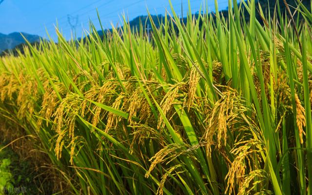 白银多少钱（明朝一两白银相当于现在多少人民币）