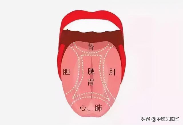 对镜查舌早知病！中医教您如何通过舌头快速识别疾病
