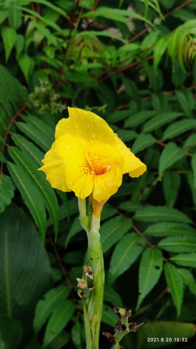 六经辨证论治肿瘤的精髓