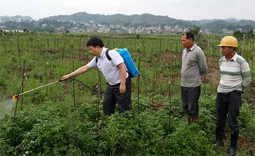 除草剂最终“归宿”大揭秘：你用过的除草剂都怎么样了6